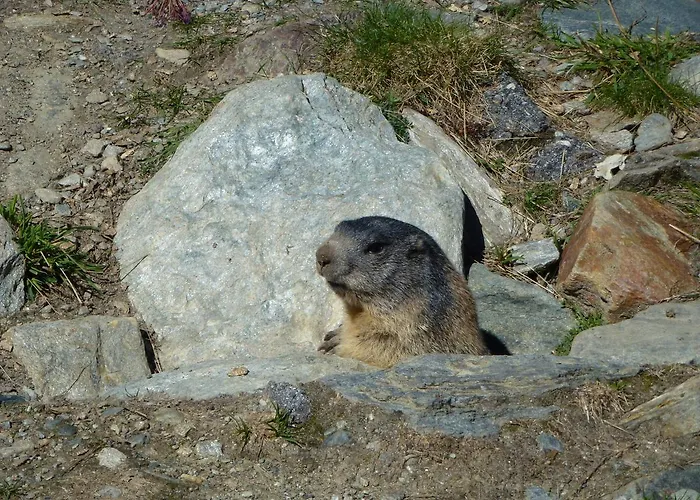 Talblick, Alte Gasse 40 * Saas-Grund