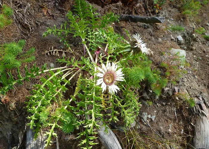 Talblick, Alte Gasse 40 Chalé