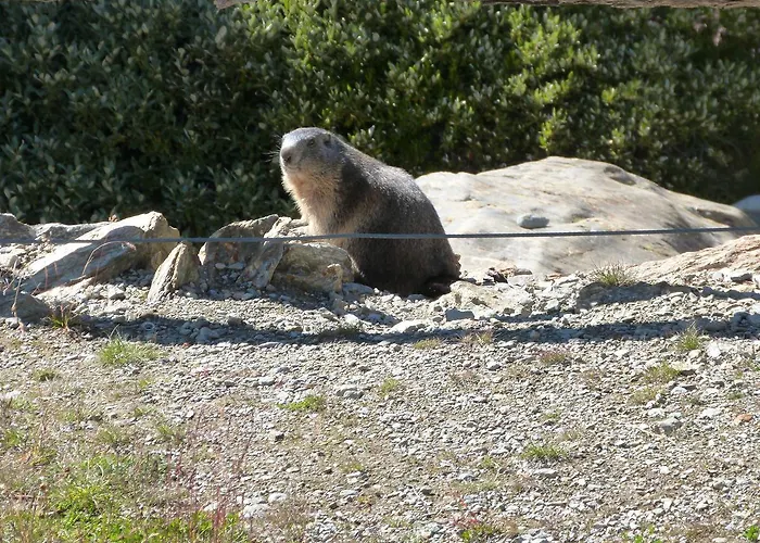 Chalé Talblick, Alte Gasse 40 *
